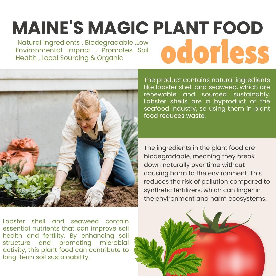 Maine's Magic Plant Food Liquid Lobster Shell & Seaweed
