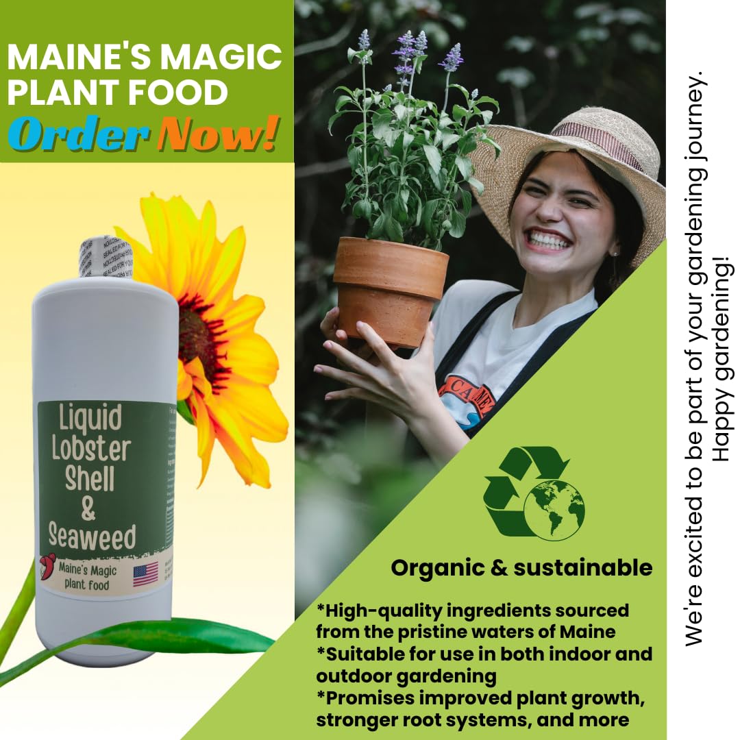 Maine's Magic Plant Food Liquid Lobster Shell & Seaweed