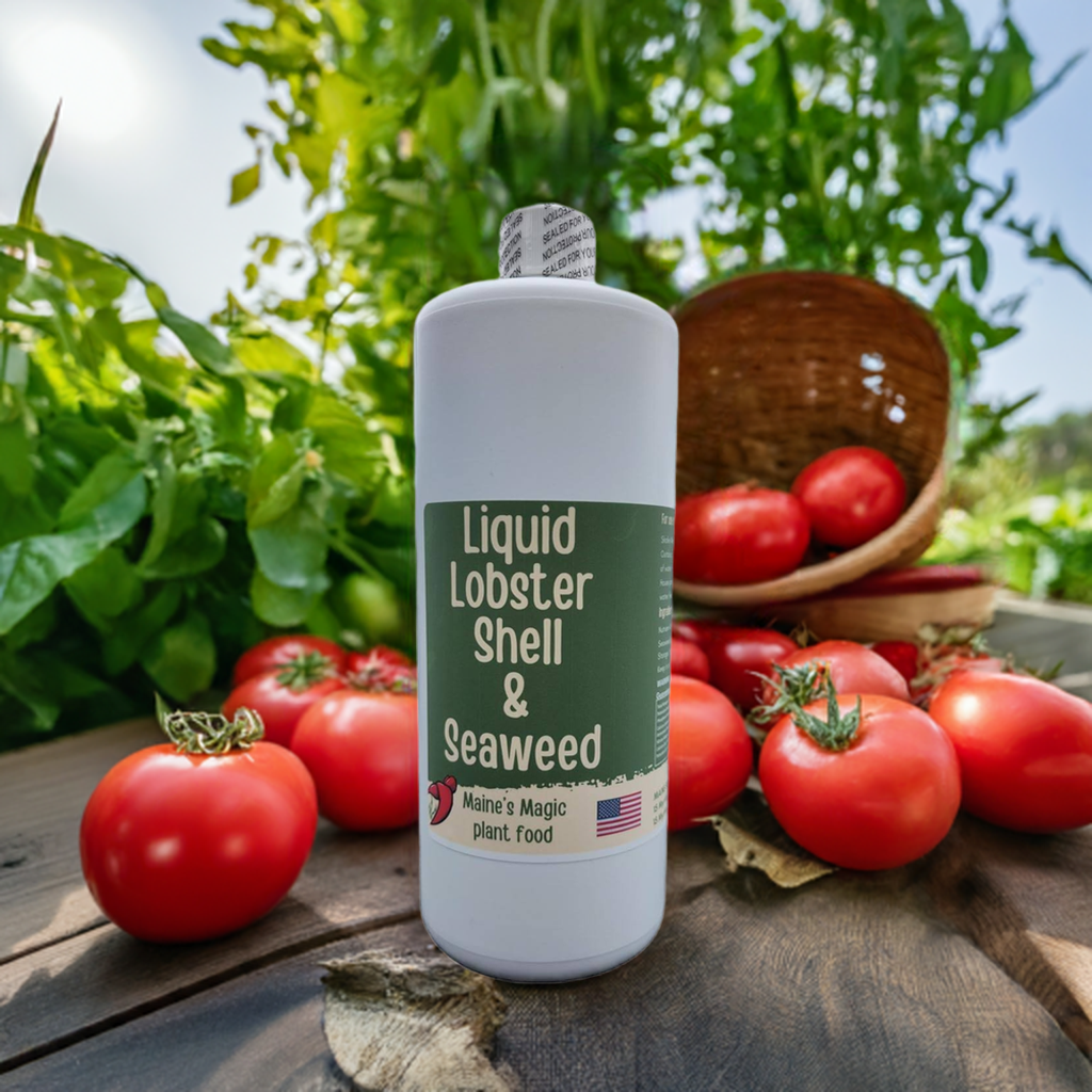 Maine's Magic Plant Food Liquid Lobster Shell & Seaweed